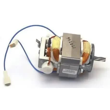 MOTOR RASNITA NECTA